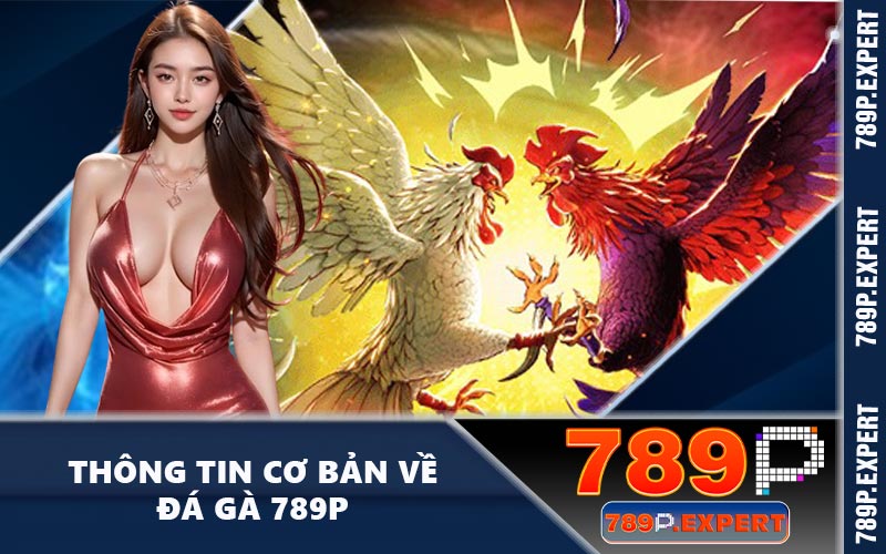 Thông tin cơ bản về đá gà 789P